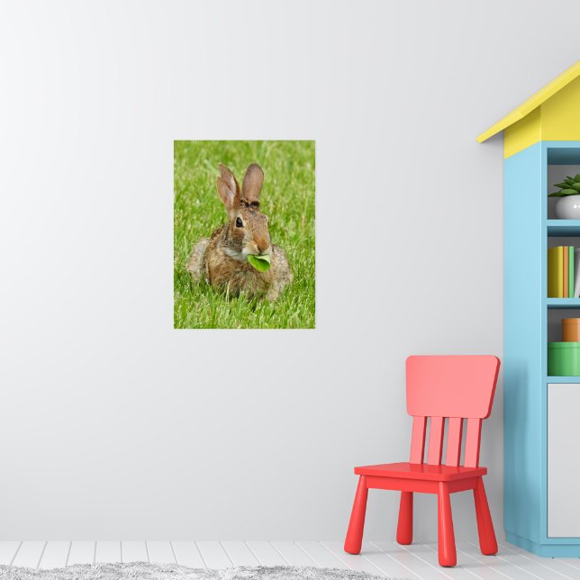 Affiche Mignonne lapin sauvage Manger (Pépinière 1)