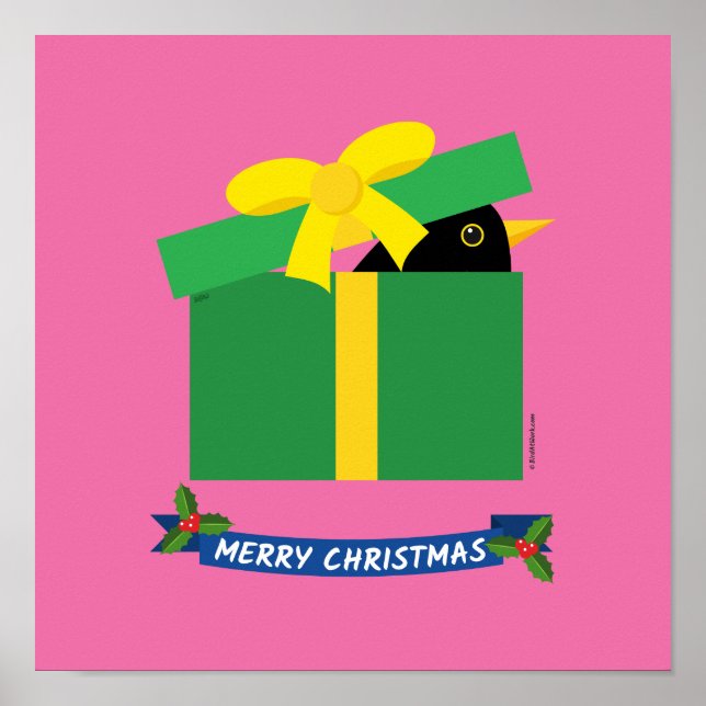 Affiche Mignonne Oiseau-Noir En Sortant D'Une Boîte Cadeau (Devant)