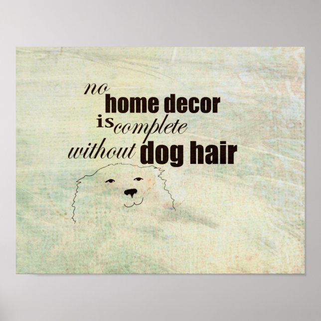 affiche mignonne pour les propriétaires de chiens  (Devant)