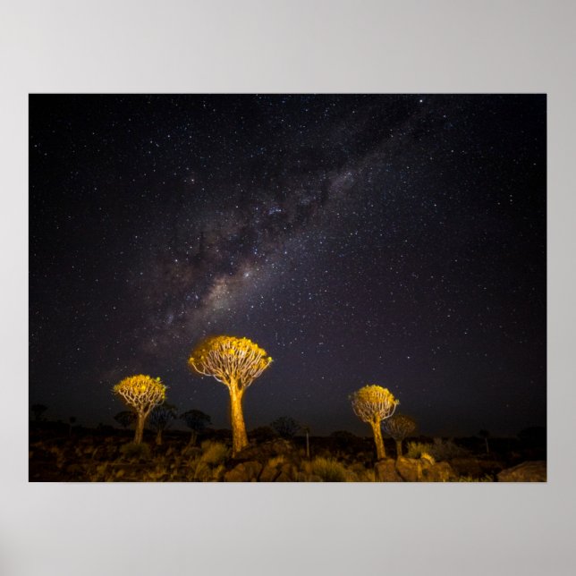 Affiche Milky Way Quiver Tree | Keetmanshoop Namibia (Devant)