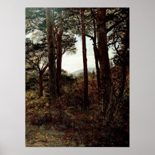 Affiche Millais - Scotch Firs 1873