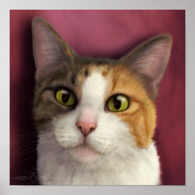 Affiche Mimi (Devant)