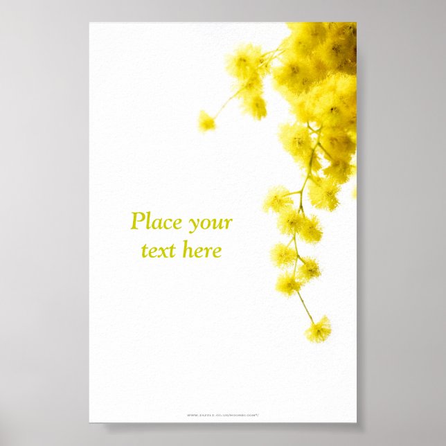 Affiche Mimosa (Devant)