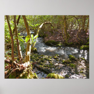 Affiche Mingus Creek dans les montagnes Smoky