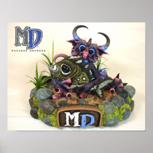 Affiche Mini-affiche MD de 11 po x 14 po