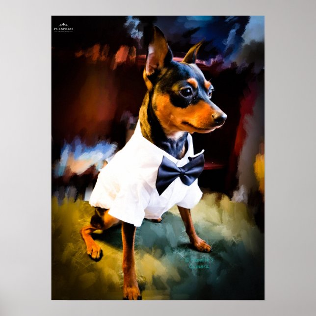 Affiche Mini broche dans le style 2 (Devant)