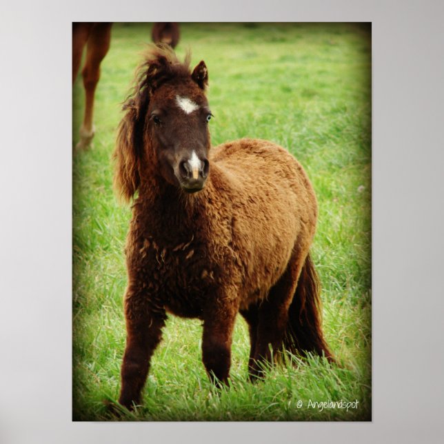 Affiche Mini surpris (Devant)