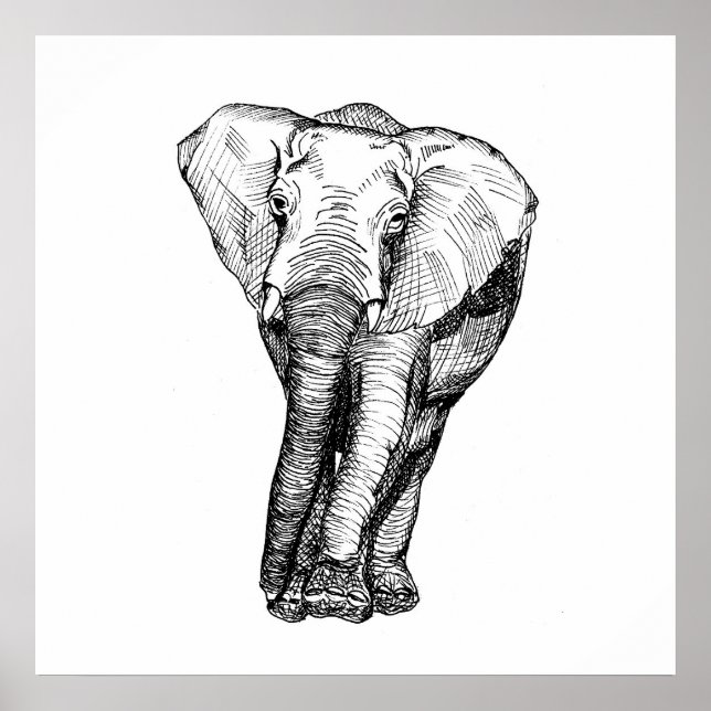 Affiche Minimalisme noir et blanc, animaux, original (Devant)