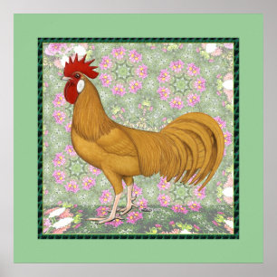 Affiche Minorque : Ancien coq