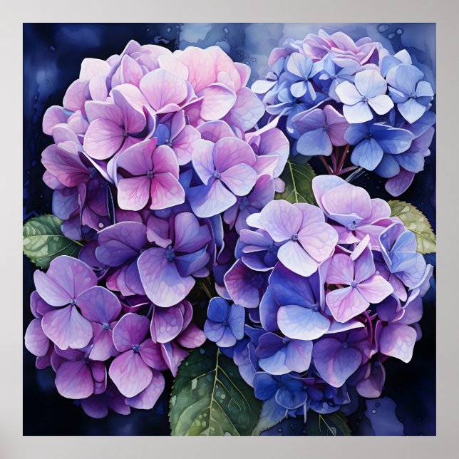 Affiche Minuit Jardin Violet Hydrangea Aquarelle (Devant)