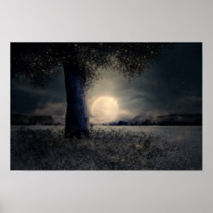 Affiche Minuit sous l'arbre