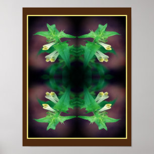 Affiche Minuscule Fleur Blanche Sauvage Miroir Art Floral