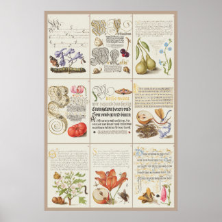 Affiche Mira Calligraphiae Monumenta 005