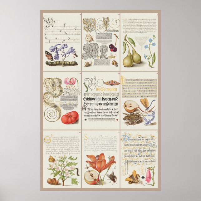 Affiche Mira Calligraphiae Monumenta 005 (Devant)