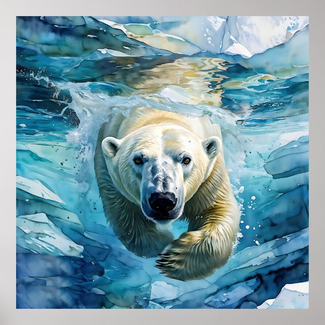 Affiche Mirage arctique : Le Monarque de la natation (Devant)