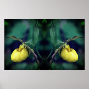 Affiche Miroir à fleurs de chèvre jaune Abstrait