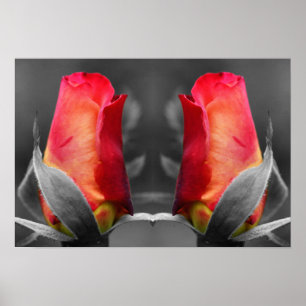 Affiche Miroir de couleur partielle Red Rosebud Abstrait