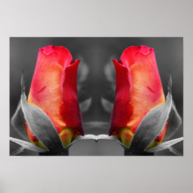 Affiche Miroir de couleur partielle Red Rosebud Abstrait (Devant)