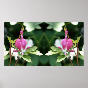 Affiche Miroir de fleurs cardiaques à hémorragie rose Abst
