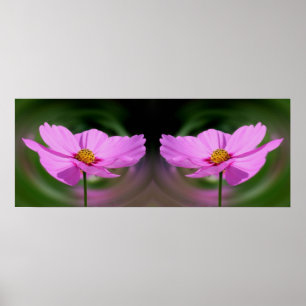 Affiche Miroir de fleurs Cosmos rose unique Abstrait