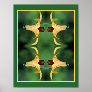 Affiche Miroir De Lys Et D'Insectes Du Canada Sauvage Abst