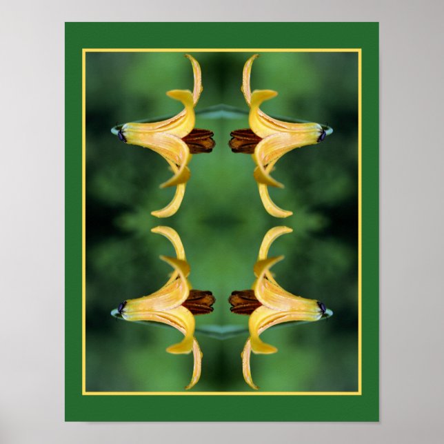 Affiche Miroir De Lys Et D'Insectes Du Canada Sauvage Abst (Devant)