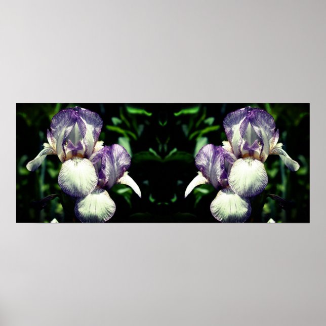 Affiche Miroir Fleur Iris Blanc Violet Porté Abstrait (Devant)