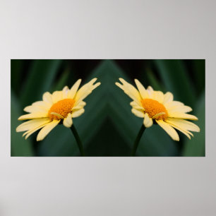 Affiche Miroir Fleur Jaune Fleur Abstrait