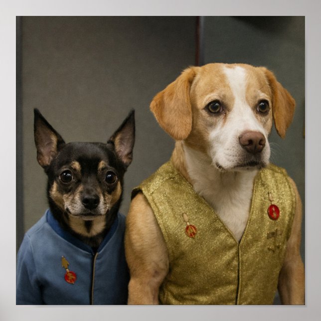 Affiche "Mirror, Mirror" (Devant)