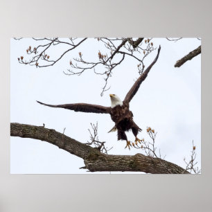 Affiche Mise en oeuvre
