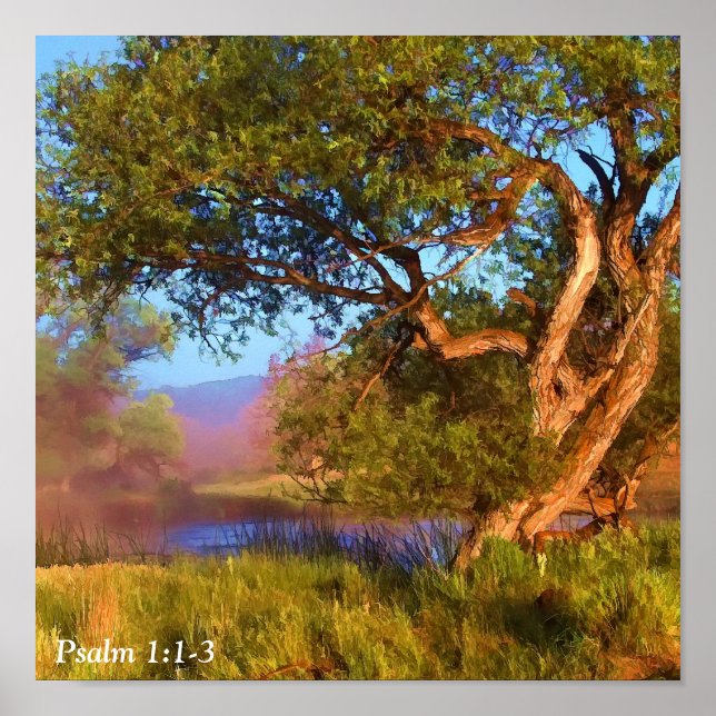 AFFICHE MIST DU MATIN SUR LA SHASTA 2 (Devant)