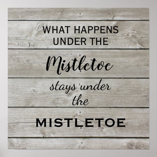 Affiche Mistletoe Holiday (Devant)