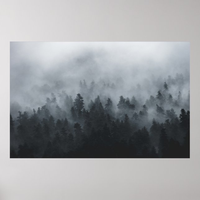 AFFICHE MISTY FOREST (Devant)