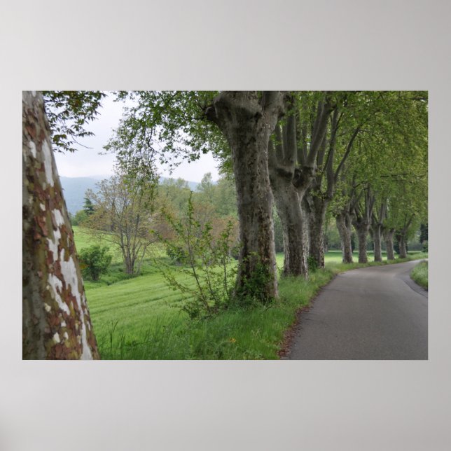 Affiche Misty matiny en Provence imprimer (Devant)