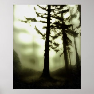 Affiche Misty Morning Monotone Forest Paysage