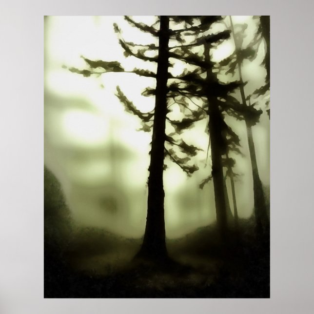 Affiche Misty Morning Monotone Forest Paysage (Devant)