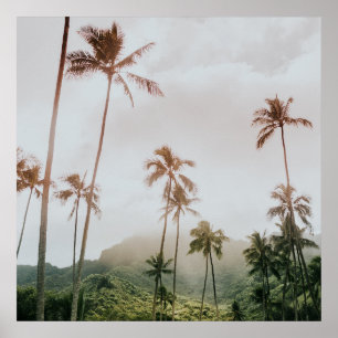 Affiche Misty Morning Palms à Oahu, Hawaii