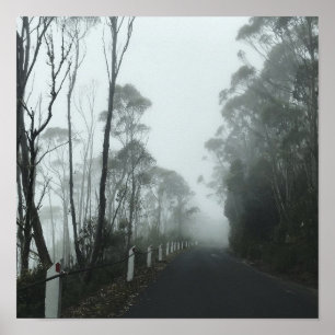 Affiche Misty road up kunanyi/Mt Wellington Tasmania