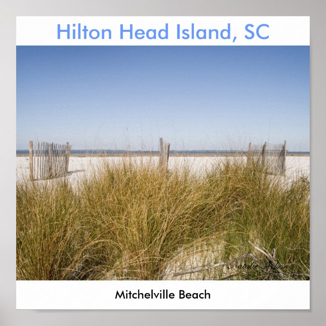 Affiche Mitchelville Beach 2008, Natalie Nelson (Devant)