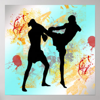 Affiche mixed martial art