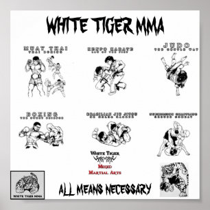 Affiche mma all arts2, Logo1_copy-224x172, tiger mma, u...