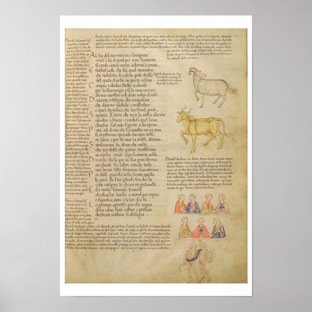 Affiche Mme Italien 87 fol.171 Page illustrant l'astrologi (Devant)