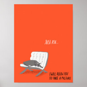 Affiche Mod Cats - Posez la question