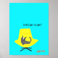 Mod Cats - What's Not to Love ?