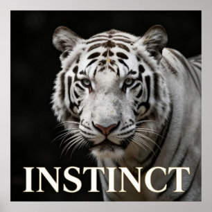 Affiche Mode Luxueuse Tigre Blanc