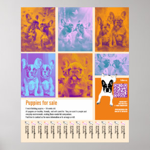 Affiche Modèle d'affiche de chiots à vendre 6 images Code
