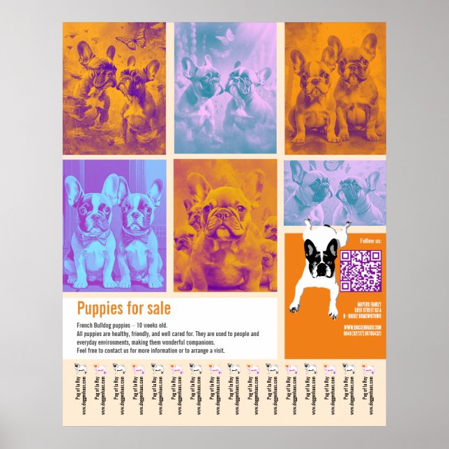 Affiche Modèle d'affiche de chiots à vendre 6 images Code  (Devant)