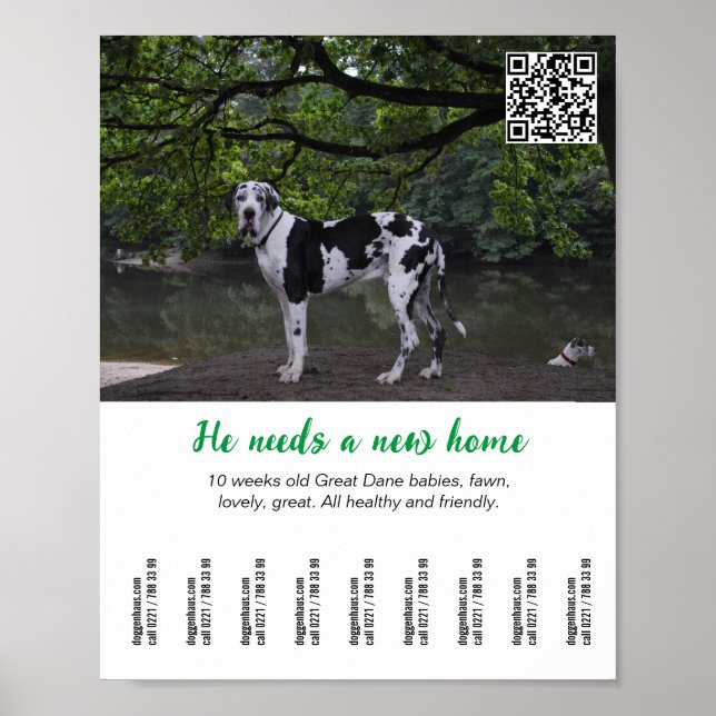 Affiche Modèle d'affiche pour vendre un chien  (Devant)