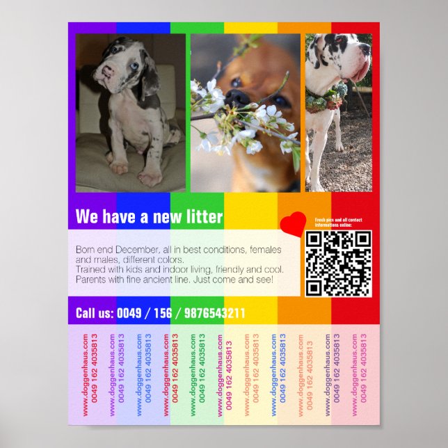 Affiche modèle de chiots à vendre imprimable (Devant)
