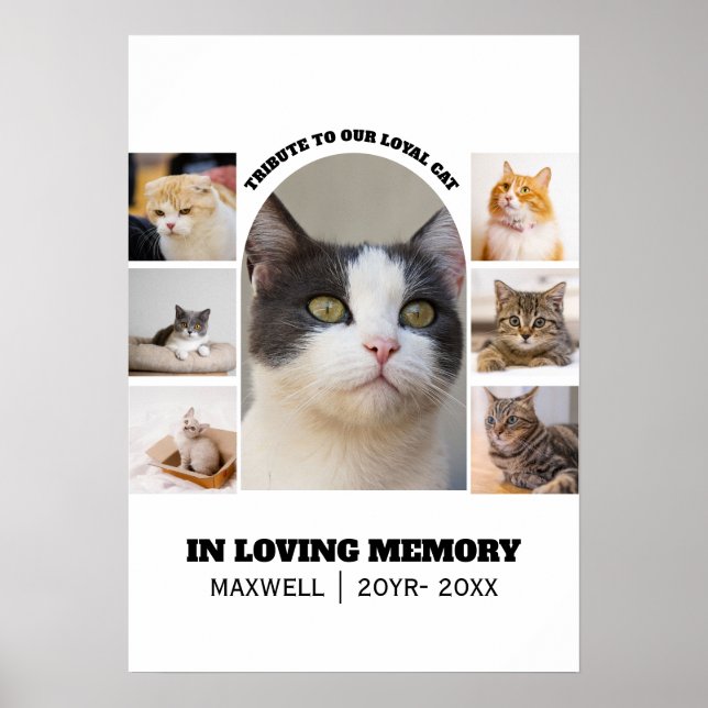 Affiche Modèle de collage photo de mémorial pour chat 7 Ho (Devant)